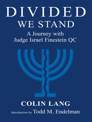 cover image of Divided We Stand